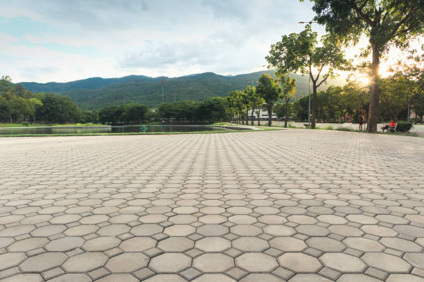 Best Driveway Pavers for Homes  in Kiawah Island, SC
